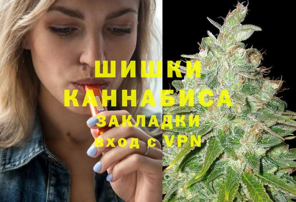 стаф Богданович